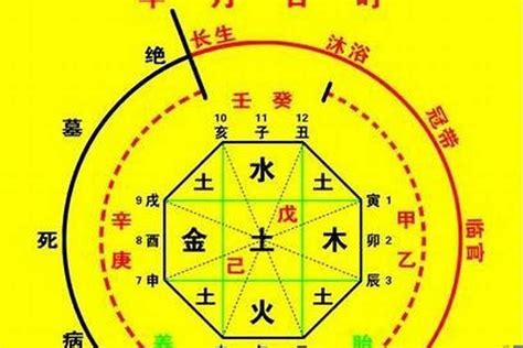 八字五行喜忌|八字入门基础 第六篇 如何判断八字喜用神